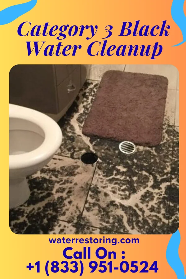Category 3 Black Water Cleanup in Lyndon, KY