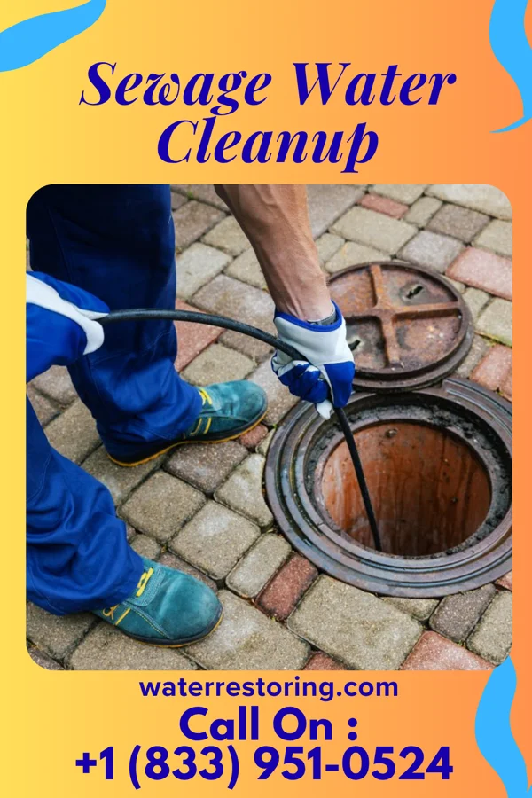 Sewage Water Cleanup in Lyndon, KY